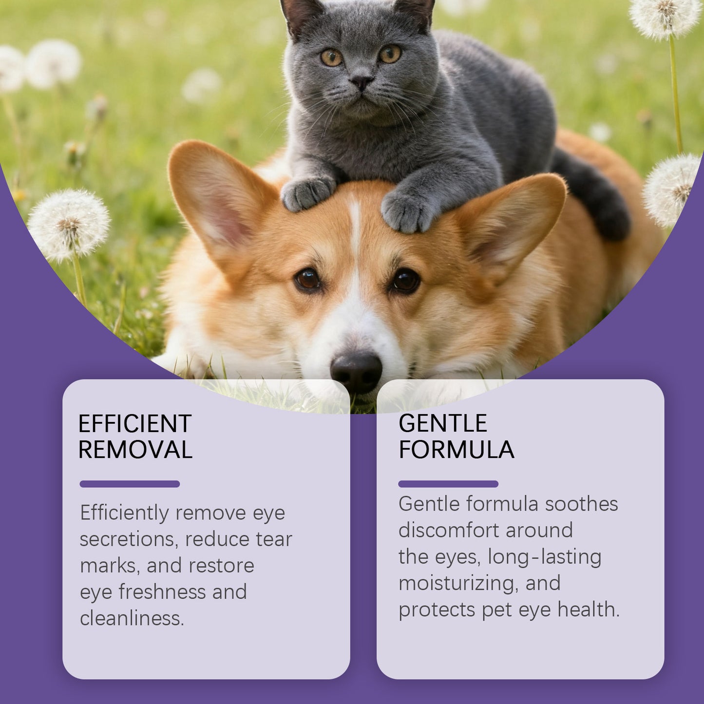 Pet Eye Drops Gently Care For Cats And Dogs.