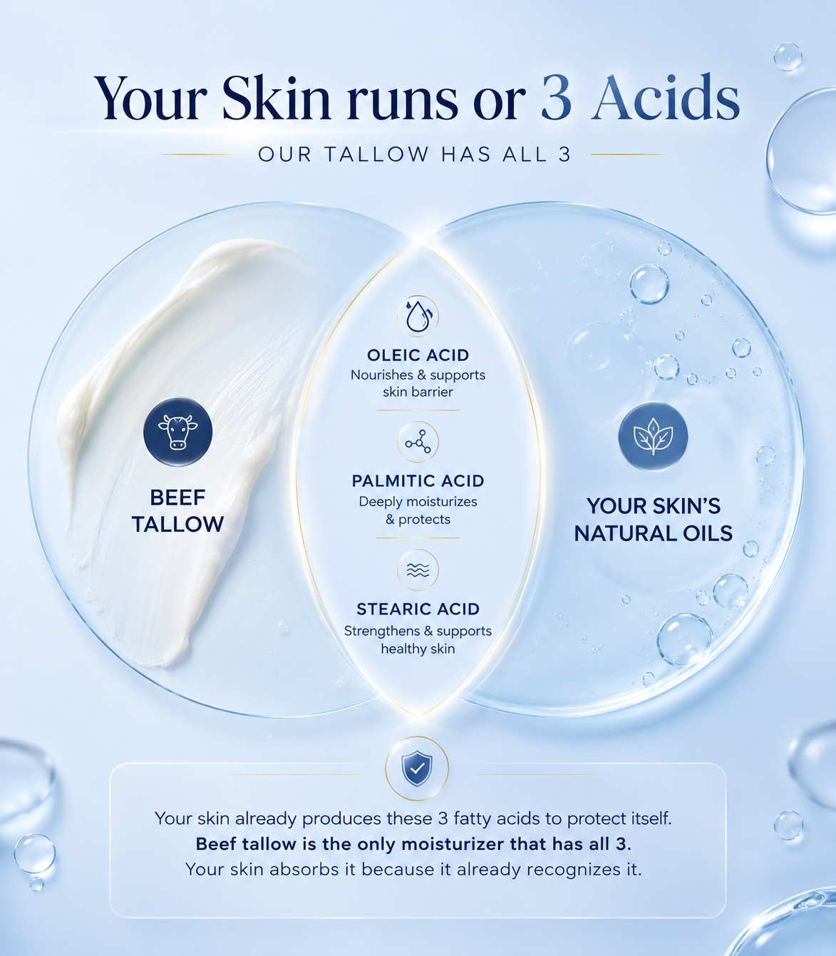 Whipped Tallow Peptide Cream