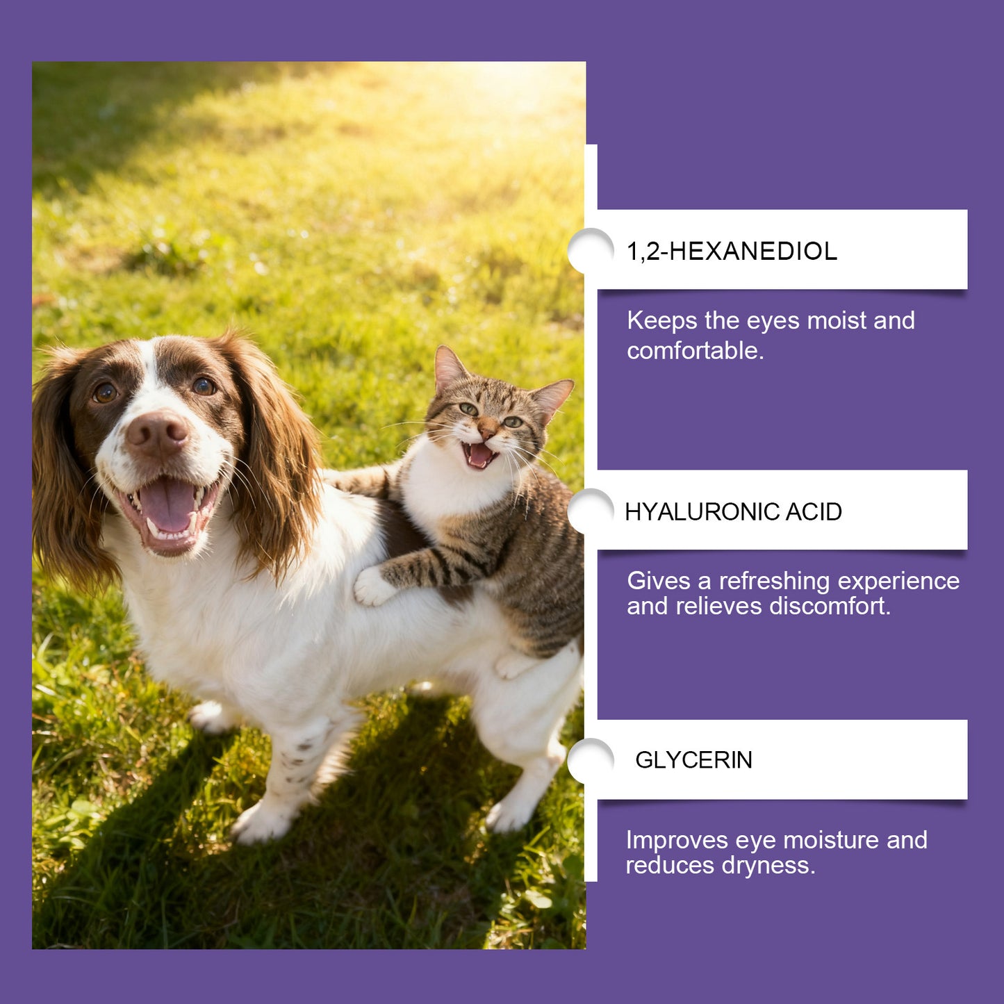 Pet Eye Drops Gently Care For Cats And Dogs.